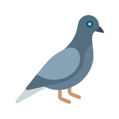 Flat style pigeon illustration with solid background color