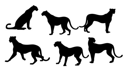 set of cheetahs silhouette vector on tranparent background
