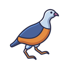 Flat vector illustration of a colorful Patridge bird