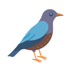 Illustration of a simple bird standing with black background
