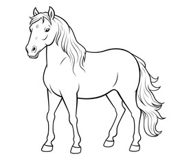 Obraz premium A cute horse.