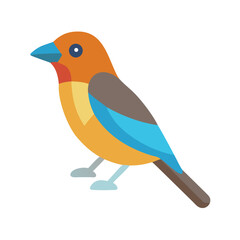 Flat vector illustration of a colorful songbird on black background