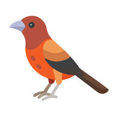 Cartoon illustration of a vibrant bird against black backdrop