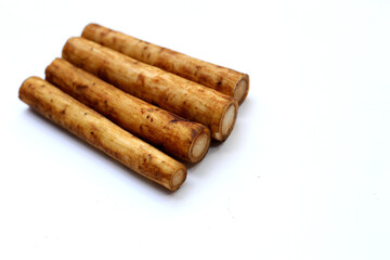 Fresh burdock roots or gobo roots