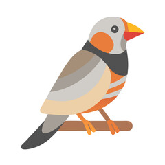 Isolated flat design illustration of a zebra finch bird