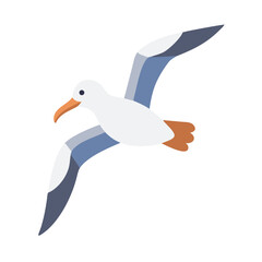 Seagull in flight illustration isolated on black background