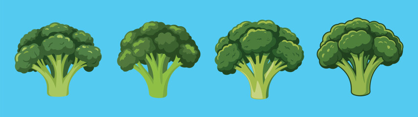 Broccoli Vector Illustration – Fresh Green Broccoli Heads in Flat Cartoon Style on Blue Background for Healthy Food, Nutrition, and Vegan Concepts