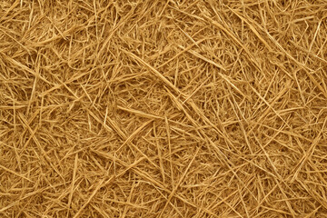 Obraz premium Dried grass texture with golden straw strands.