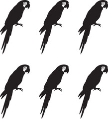 Set of Macaw bird vector illustration silhouette on white background. 