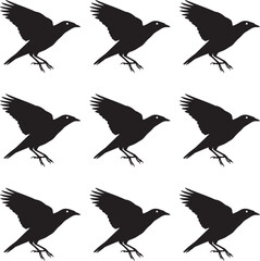 Premium vector. Set of silhouettes of flying Myna birds on white background. 