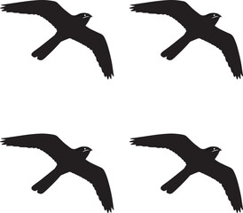 Premium vector silhouettes of flying Nightjar bird on white background. 
