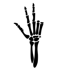 skeleton hand illustration