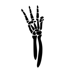 skeleton hand illustration