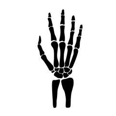 skeleton hand illustration