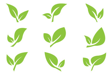 Green leaf icons set. Leaves icon on isolated background. Collection green leaf. Elements design for natural, eco, vegan, bio labels. Vector illustration EPS 10 