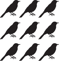 Silhouette Tailor bird on white background. Vector illustration. 