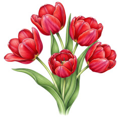 Beautiful red tulip bouquet illustration with vibrant colors and green leaves in artistic detail