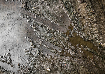 top view of muddy dirt road surface