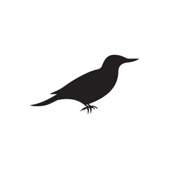 Bird silhouette icon vector illustration isolated on white background