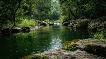 Serene River Scene Surrounded by Lush Green Forest, Rocks, and Calm Water in a Tropical Nature Setting for Peaceful Relaxation and Escape