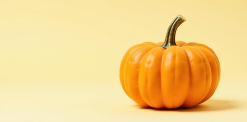 Small orange pumpkin, isolated yellow, bright color, harvest, close up, orange