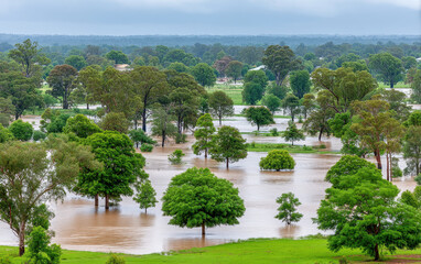 Flood disaster damage is visible as water covers land and trees in this natural scene creating powerful and emotional impact