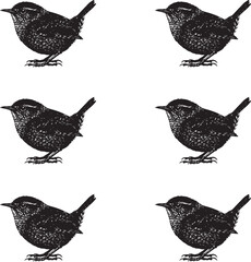 Set of Wren birds silhouettes vector illustration. 