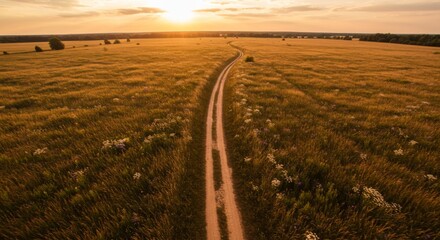 Aerial View of a Dirt Road Through a Golden Field at Sunset