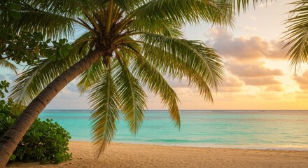 Fototapeta premium Tranquil Sunset Over Tropical Beach with Palm Tree