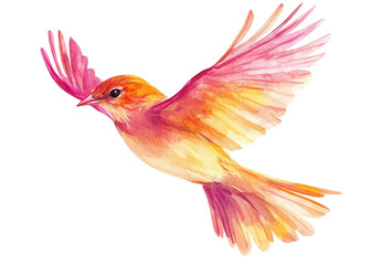 Fototapeta premium Watercolor flying bird, white background 
