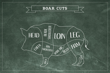 Boar meat cuts on green chalkboard background
