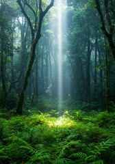 Obraz premium Sunbeam in Lush Green Forest