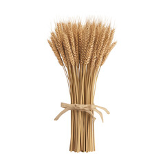 A bundle of wheat stalks tied with a light colored ribbon against a dark background in a studio shot on transparent background