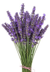 Obraz premium Lavender Bouquet: A Vibrant Purple Floral Still Life