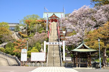 犬山市、成田山大聖寺の境内