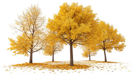 Circular Grove of Golden Autumn Trees Surrounded by Fallen Leaves on Transparent Background for Fall Nature Scenes and Seasonal Decor
