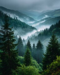 Early morning mist over a lush pine forest valley, moody atmospheric light, layered mountain ridges, peaceful and serene vibe
