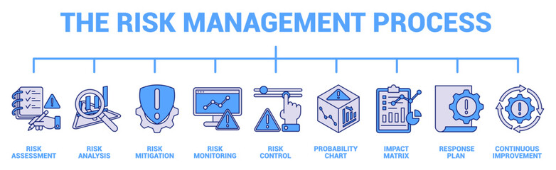 The Risk Management Process