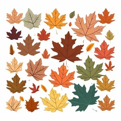 Fototapeta premium Autumn Maple Leaves Collection Colorful Fall Foliage Illustration