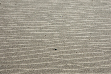 Wind-sculpted sand ripple texture from Iwama Beach, Fukushima, Japan – minimalist winter coastal background and copy-space for design, travel or nature concepts

