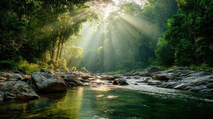 Tranquil River Scene Surrounded by Lush Green Forest and Sunlight Filtering Through Canopy in a Serene Natural Landscape