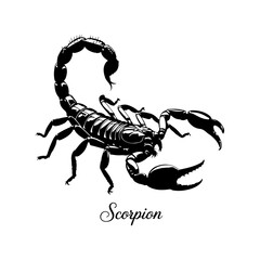 scorpion silhouette isolated on white
