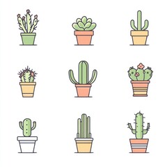 Nine colorful cactus and succulent plants displayed in various pots