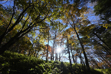 Climbing Mount Daibosatsurei, Yamanashi, Japan