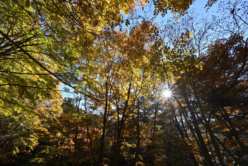 Climbing Mount Daibosatsurei, Yamanashi, Japan