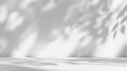 A minimalist white studio with a delicate leaf shadow overlay, perfect for cosmetic and fashion product displays. Soft morning sunlight streams through the window, enhancing the clean mockup backdrop.