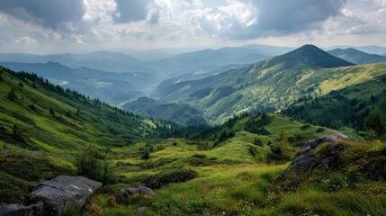 A serene mountain scene in Ukraine Carpathians, where wild nature flourishes in brilliant light and green vegetation stretches endlessly.