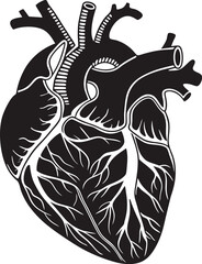 vector image of an apple with leaves