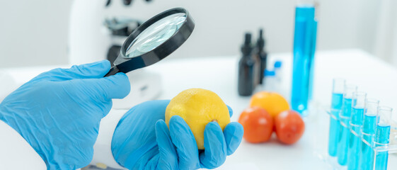 Scientist use magnifying glass to check physical occur from chemical on fruit and vegetable residues in laboratory. inspect the concentration of chemical residues, standard, find prohibited substances