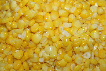 Close up photo of boiled corn kernels